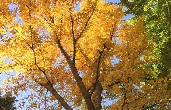 素质教育中的评价形成