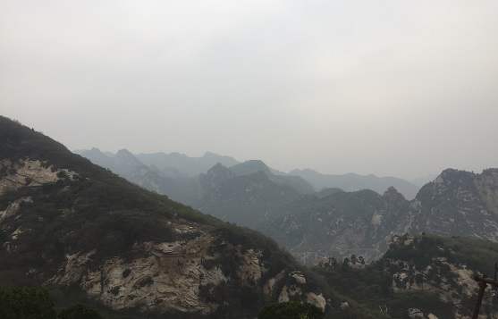 中学语文教学中学法指导之我见