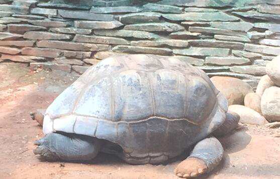 在中职护生的语文教学中重视沟通能力的培养