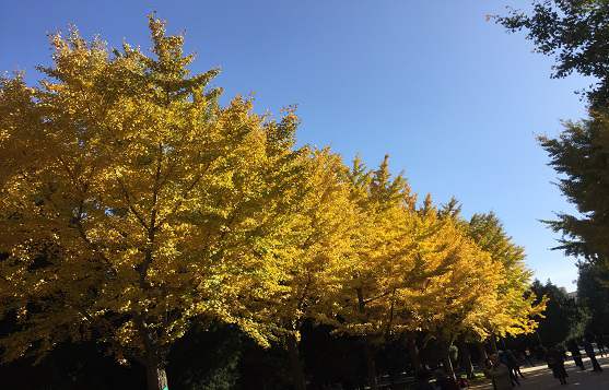 教学与科研互动培养创新型人才——《发电厂电气主系统》课程教学体系研究与实践