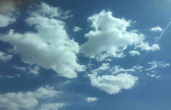 理解语文《课标》做好口语教学