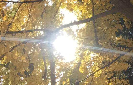 往届生初中数学知识存留评析