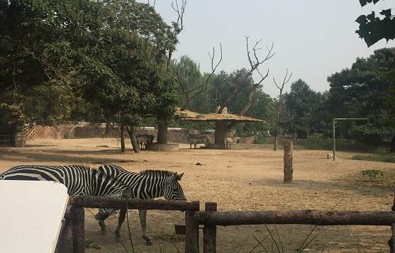 对大学俄语教学改革的再思考