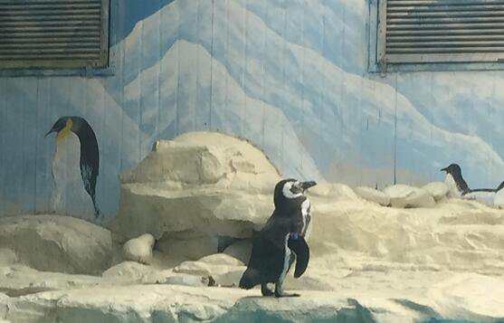 产学研合作培养化工专业研究生工程实践能力的探索